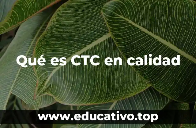 Qué es CTC en calidad