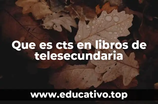 Que es cts en libros de telesecundaria
