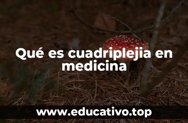 Qué es cuadriplejia en medicina