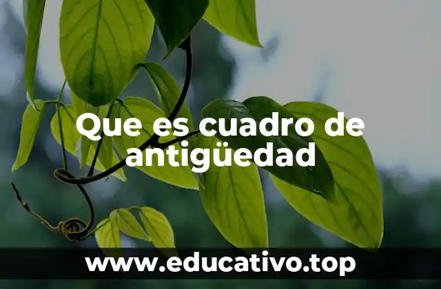 Que es cuadro de antigüedad