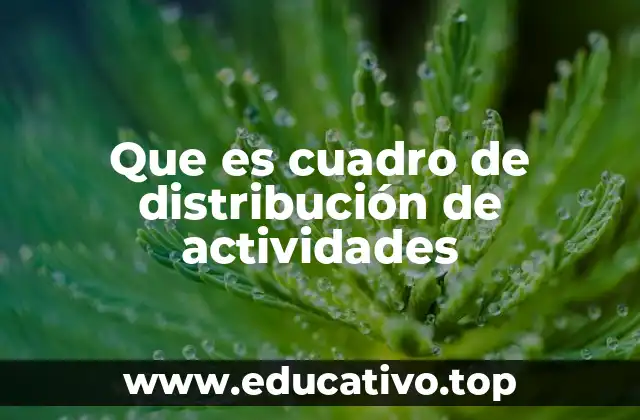 Que es cuadro de distribución de actividades