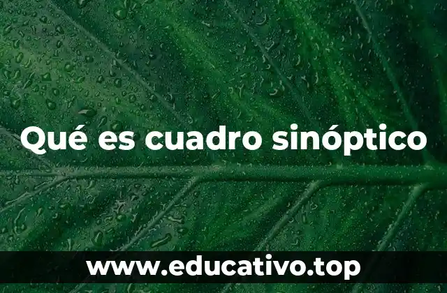 Qué es cuadro sinóptico
