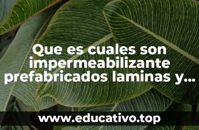 Que es cuales son impermeabilizante prefabricados laminas y rollos