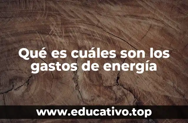 Qué es cuáles son los gastos de energía