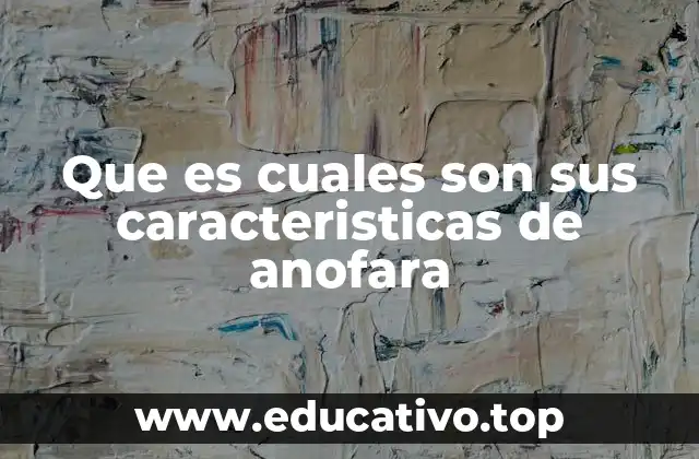 Que es cuales son sus caracteristicas de anofara