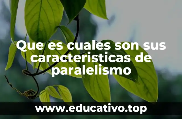 Que es cuales son sus caracteristicas de paralelismo