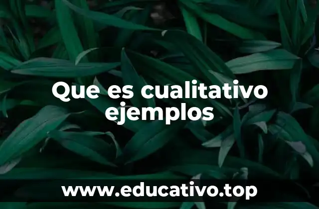 La importancia del enfoque cualitativo en la investigación