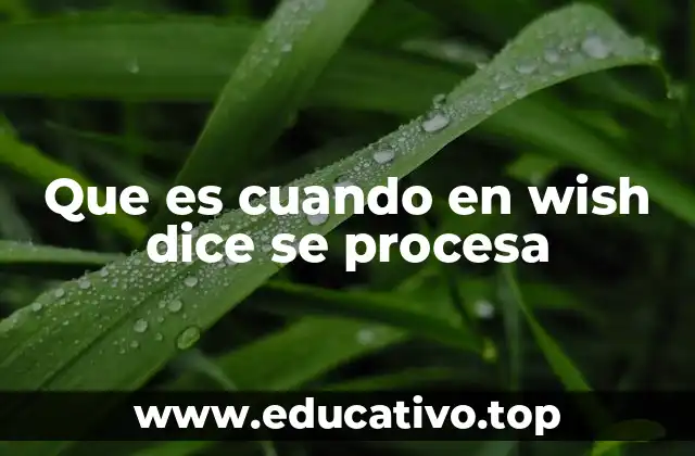 Que es cuando en wish dice se procesa