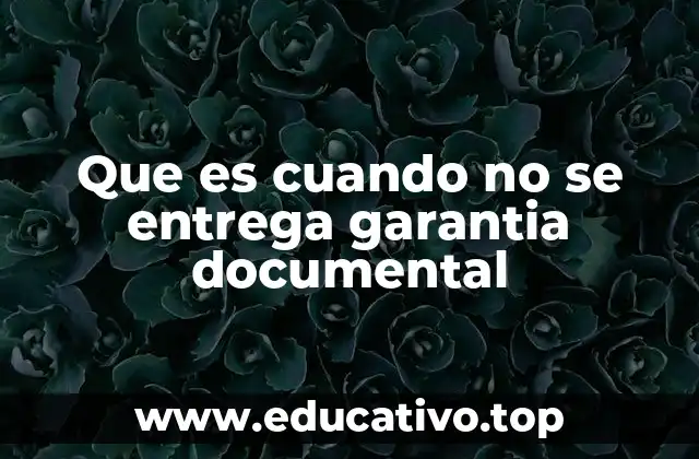 Que es cuando no se entrega garantia documental