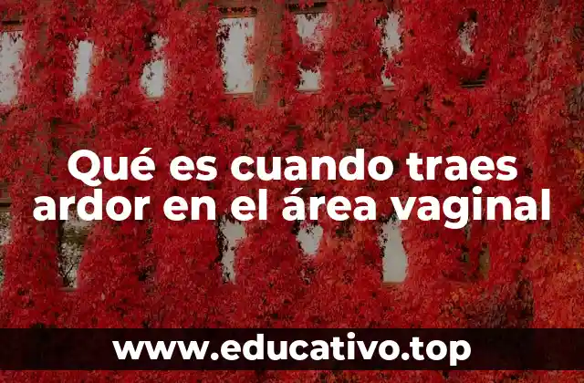 Qué es cuando traes ardor en el área vaginal