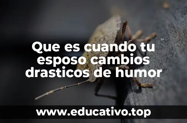 Que es cuando tu esposo cambios drasticos de humor