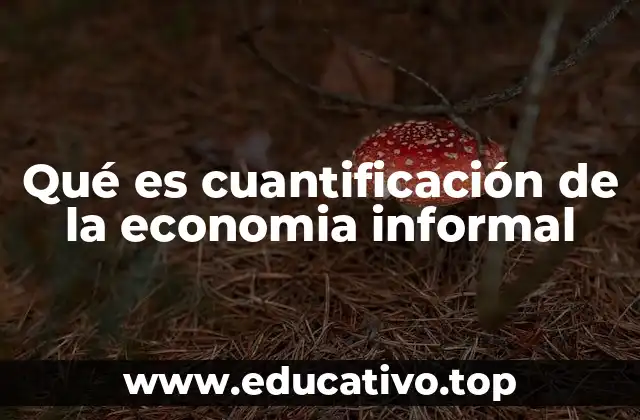 Qué es cuantificación de la economia informal