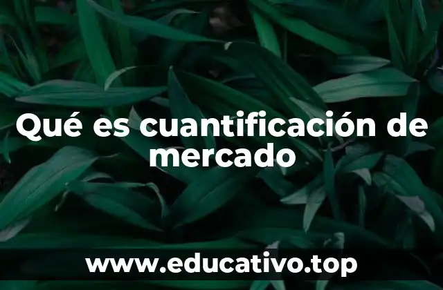 Qué es cuantificación de mercado