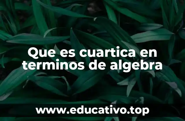 Que es cuartica en terminos de algebra