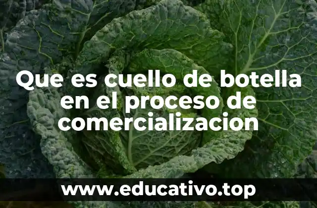 Que es cuello de botella en el proceso de comercializacion