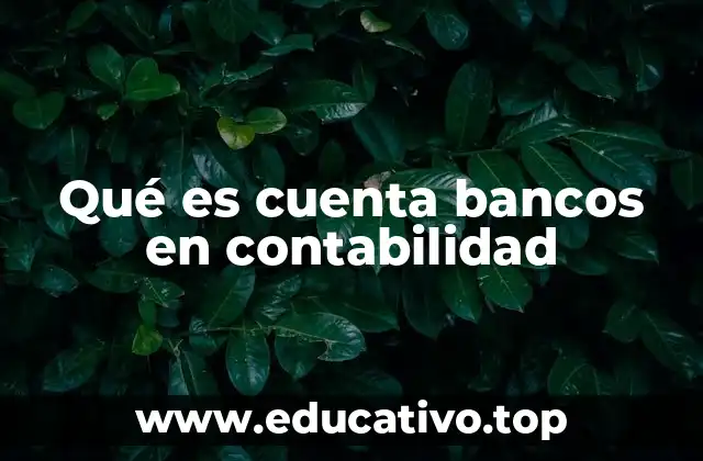 La importancia del manejo contable de las operaciones bancarias