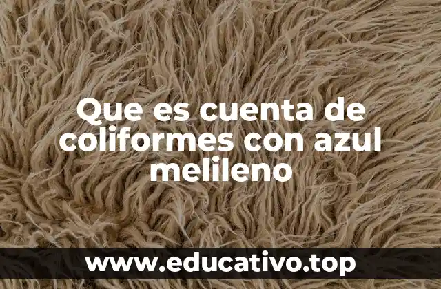 Que es cuenta de coliformes con azul melileno