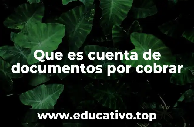 Que es cuenta de documentos por cobrar