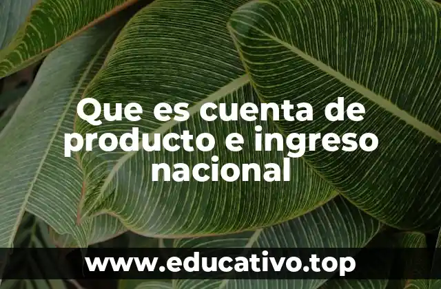 Cómo se relaciona la producción con el ingreso en una economía