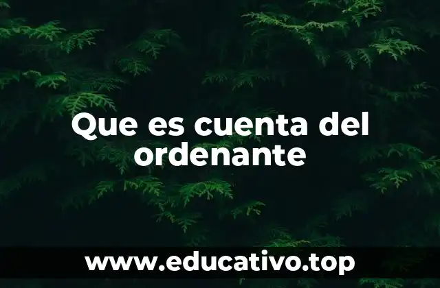 Que es cuenta del ordenante