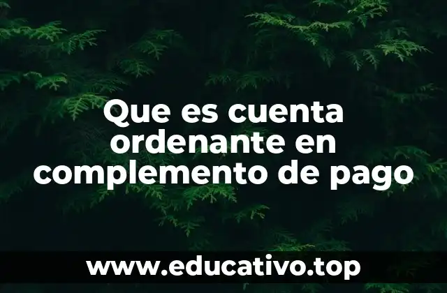 Que es cuenta ordenante en complemento de pago
