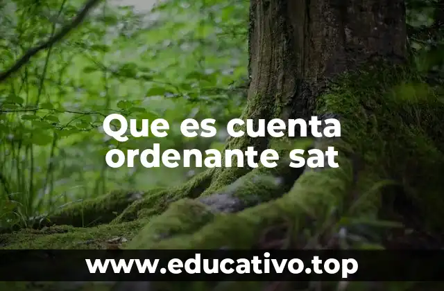 Que es cuenta ordenante sat
