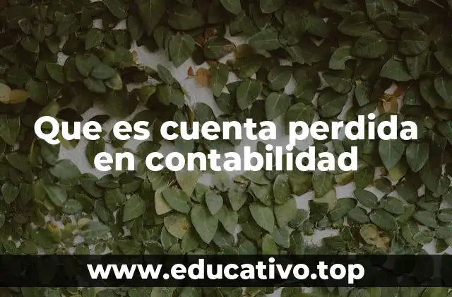 Que es cuenta perdida en contabilidad