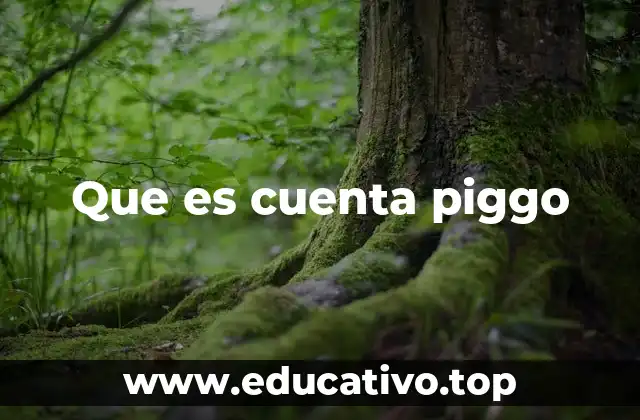 Que es cuenta piggo