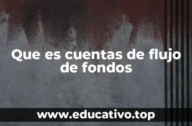 Que es cuentas de flujo de fondos