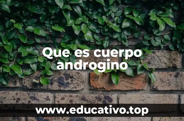 Que es cuerpo androgino