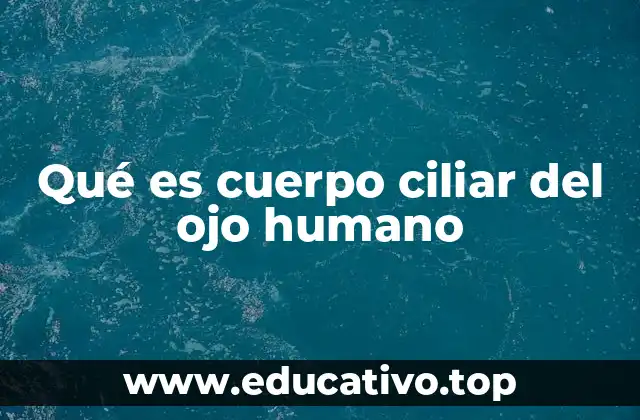 Qué es cuerpo ciliar del ojo humano