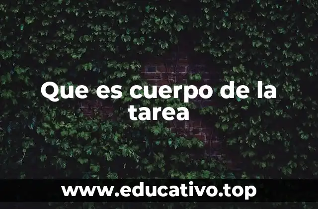 La importancia del cuerpo en el desarrollo de una actividad