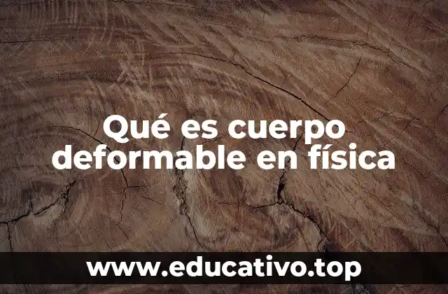 La relación entre fuerza y deformación en los materiales