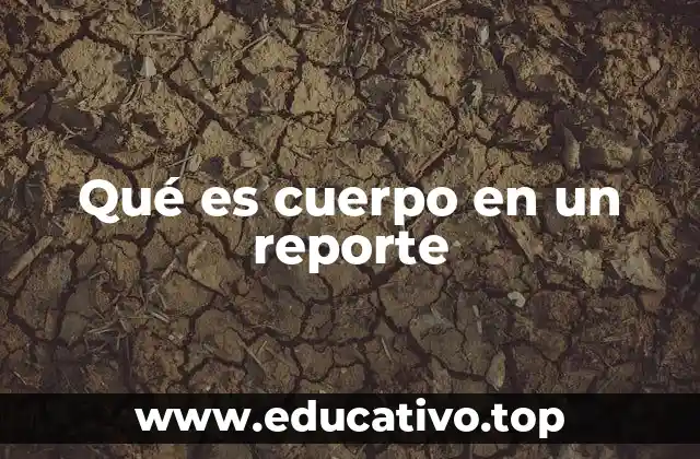 Qué es cuerpo en un reporte