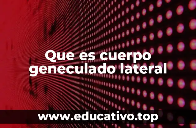 Que es cuerpo geneculado lateral