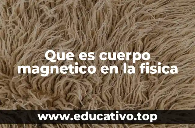 Que es cuerpo magnetico en la fisica