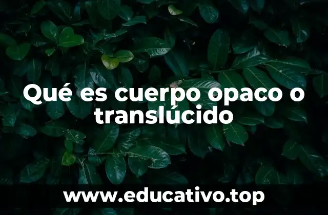 Qué es cuerpo opaco o translúcido