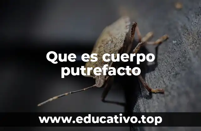 Que es cuerpo putrefacto