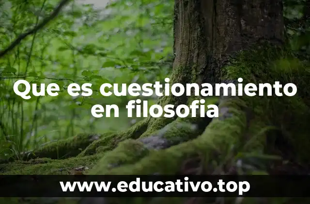 Que es cuestionamiento en filosofia