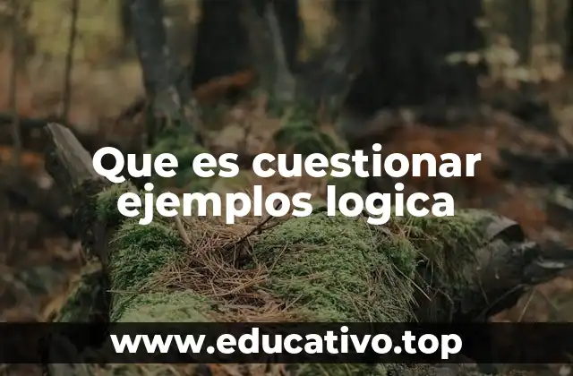 Que es cuestionar ejemplos logica