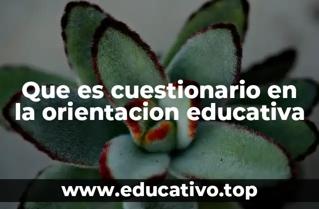 Que es cuestionario en la orientacion educativa