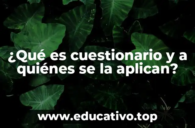¿Qué es cuestionario y a quiénes se la aplican?