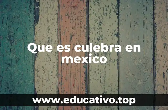 Que es culebra en mexico