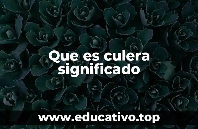 Que es culera significado