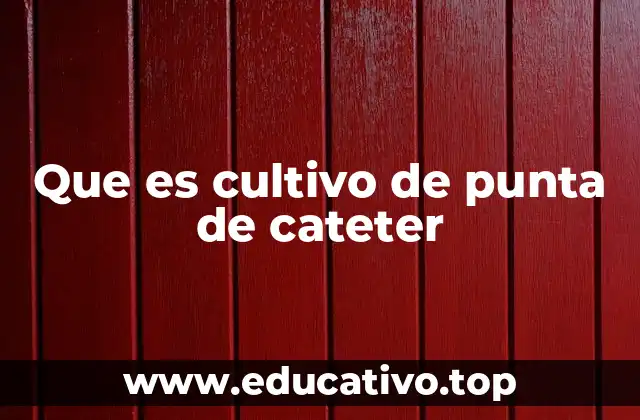 Que es cultivo de punta de cateter