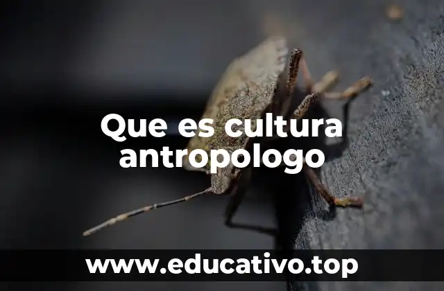 Que es cultura antropologo