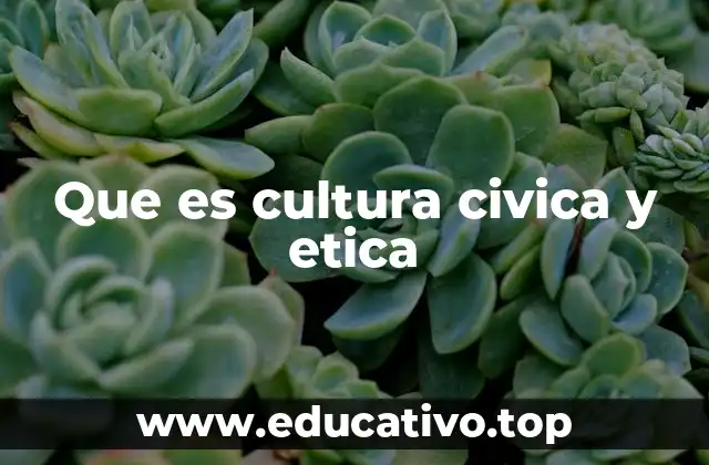 Que es cultura civica y etica
