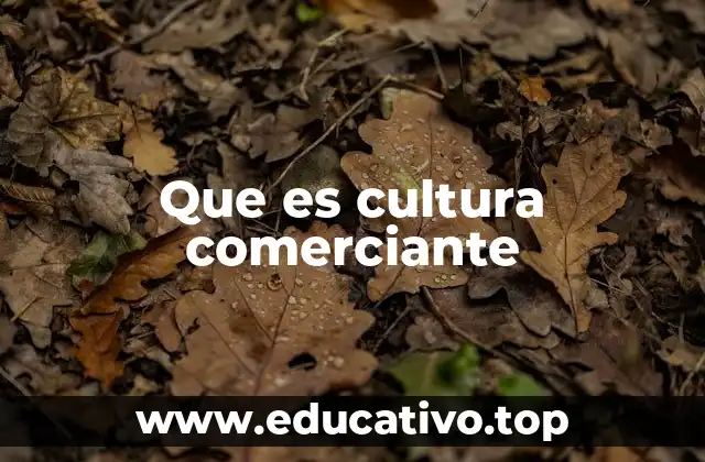 Que es cultura comerciante