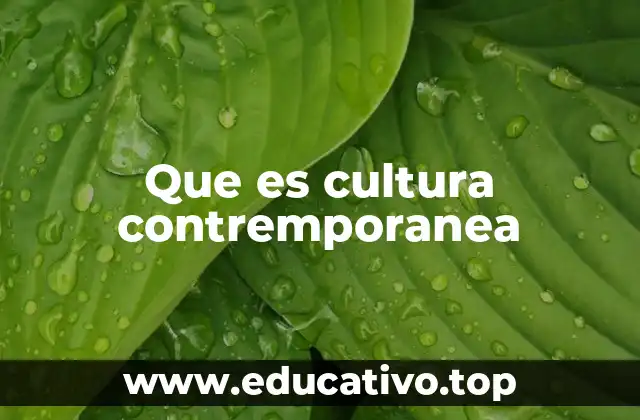Que es cultura contremporanea