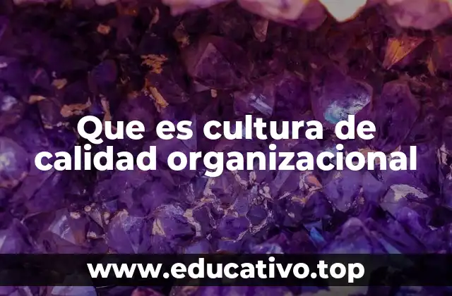Que es cultura de calidad organizacional